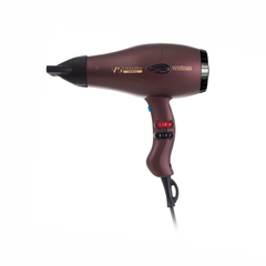 Ventoso V5 Exclusive Ionic 2500 W Professional Blow Dryer Pearl Coffee Vigolu